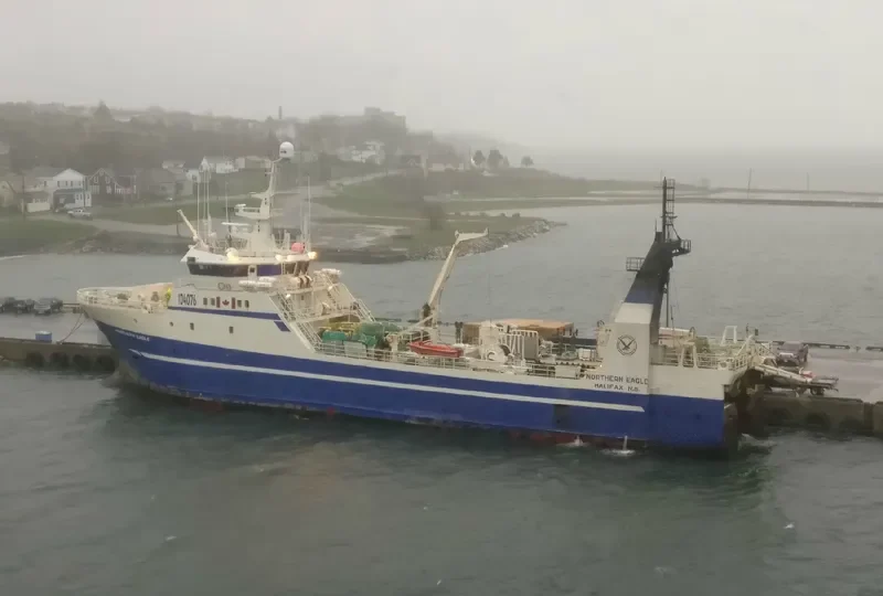 NORTHERN EAGLE General Cargo IMO 9128348 photo 2