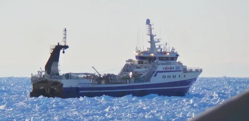 NORTHERN EAGLE General Cargo IMO 9128348 photo 3