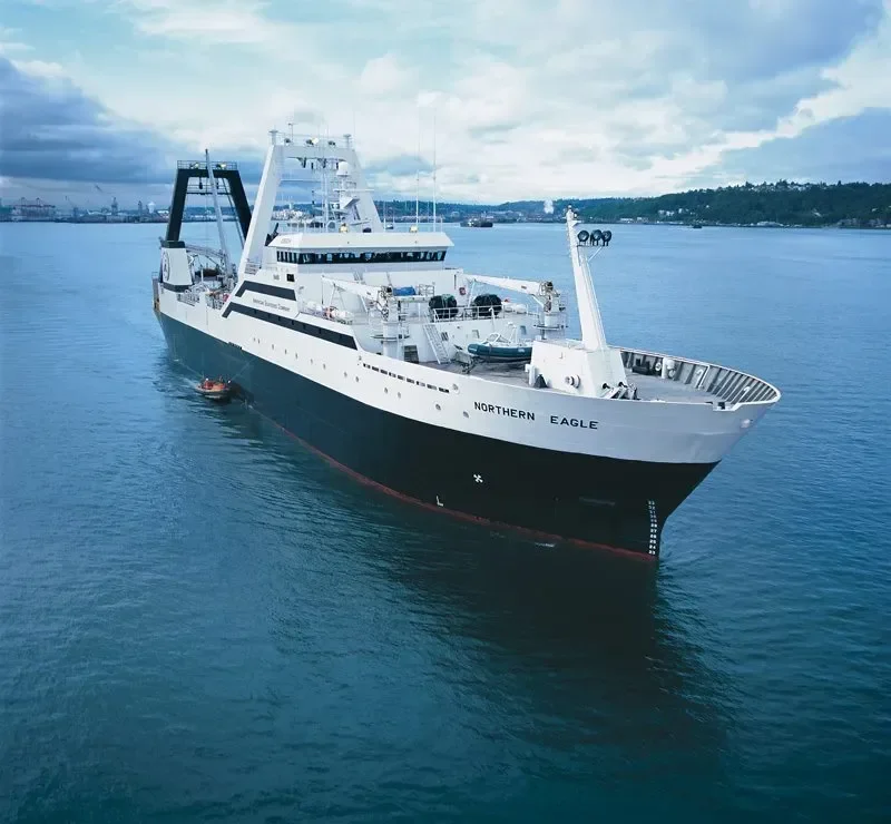 NORTHERN EAGLE General Cargo IMO 9128348 photo 4