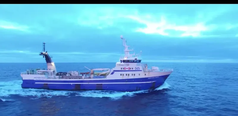 NORTHERN EAGLE General Cargo IMO 9128348 photo 5