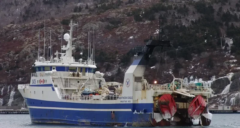 NORTHERN EAGLE General Cargo IMO 9128348 photo 7