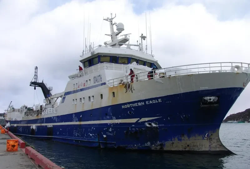 NORTHERN EAGLE General Cargo IMO 9128348 photo 9