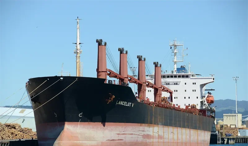 FANCY Bulk Carrier IMO 9128439 photo 2