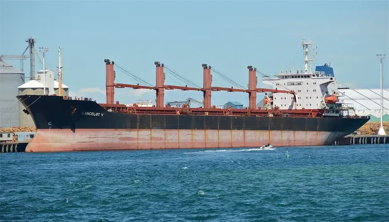FANCY Bulk Carrier IMO 9128439 photo 3