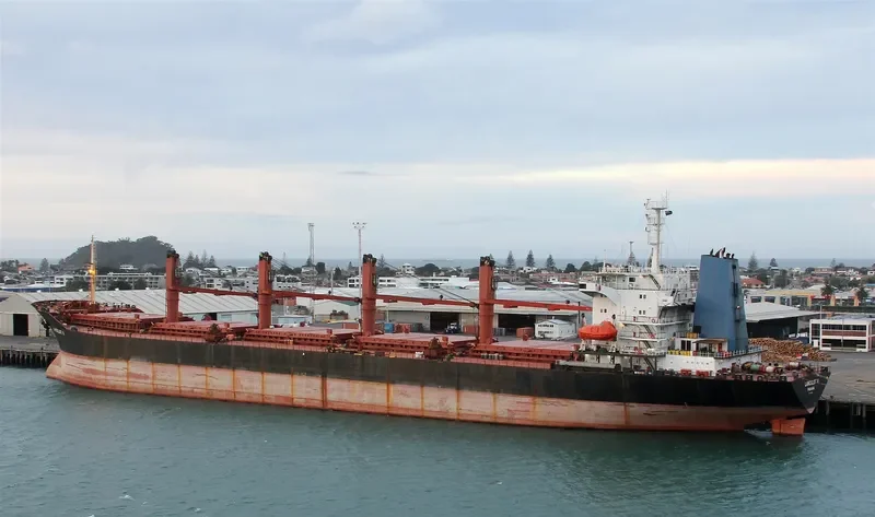 FANCY Bulk Carrier IMO 9128439 photo 4