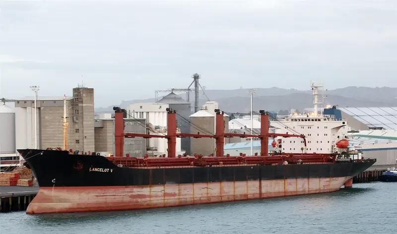 FANCY Bulk Carrier IMO 9128439 photo 5