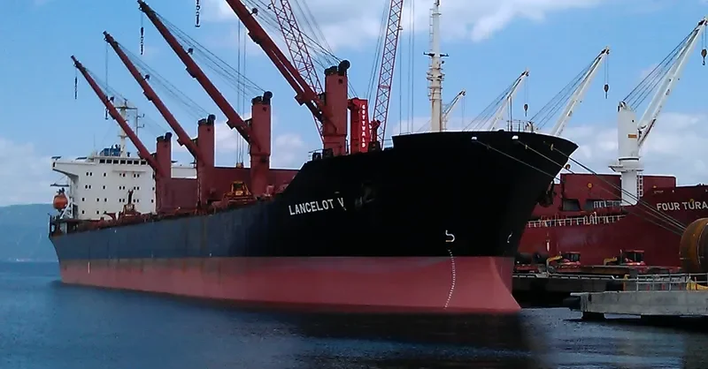 FANCY Bulk Carrier IMO 9128439 photo 6