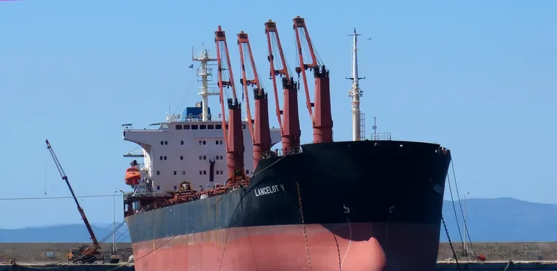 FANCY Bulk Carrier IMO 9128439 photo 7