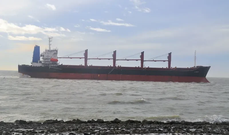 FANCY Bulk Carrier IMO 9128439 photo 8