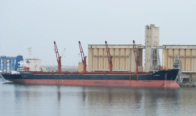 FANCY Bulk Carrier IMO 9128439 photo 10