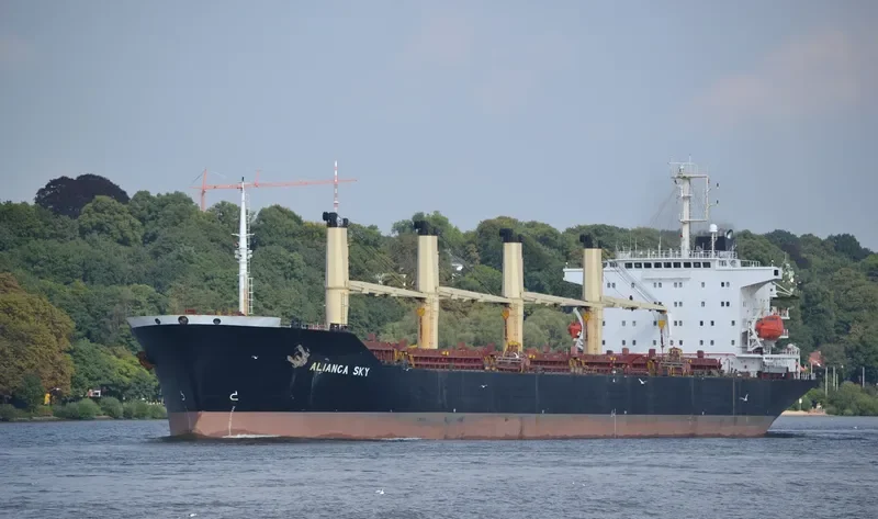 ALIANCA SKY Bulk Carrier IMO 9128441