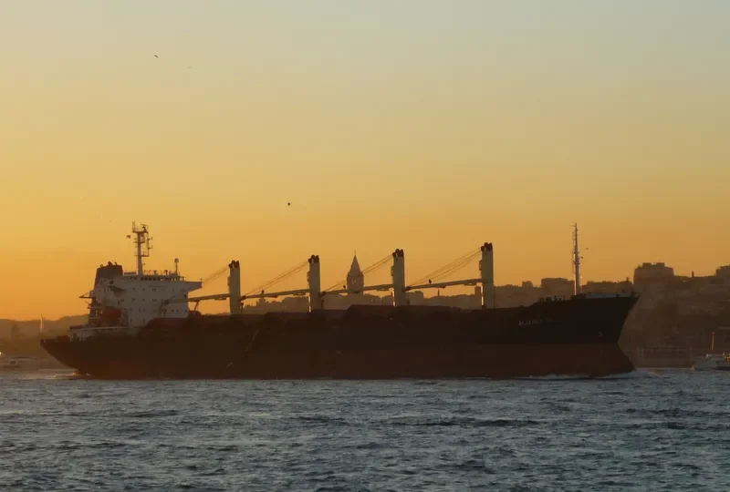 ALIANCA SKY Bulk Carrier IMO 9128441 photo 2