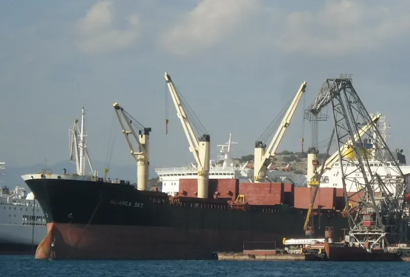 ALIANCA SKY Bulk Carrier IMO 9128441 photo 3