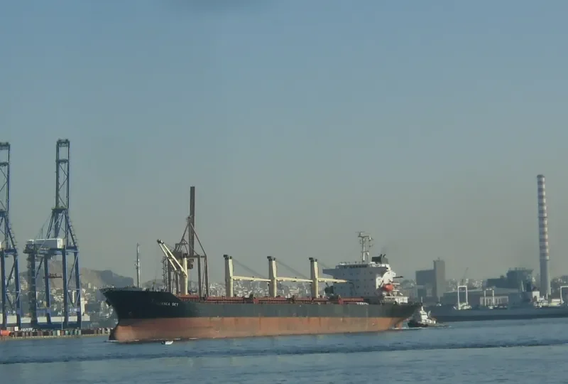 ALIANCA SKY Bulk Carrier IMO 9128441 photo 4