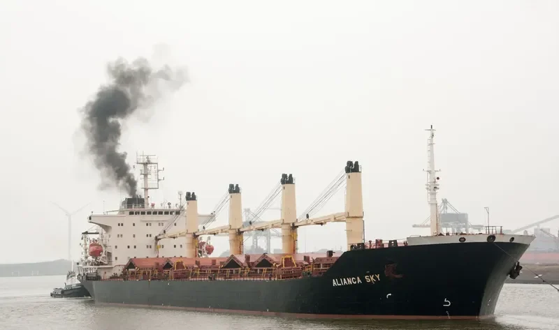 ALIANCA SKY Bulk Carrier IMO 9128441 photo 6