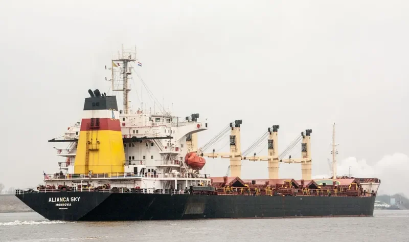 ALIANCA SKY Bulk Carrier IMO 9128441 photo 7