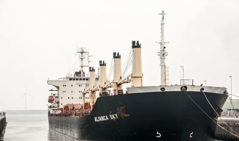 ALIANCA SKY Bulk Carrier IMO 9128441 photo 8