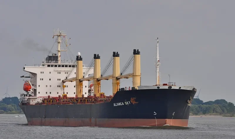 ALIANCA SKY Bulk Carrier IMO 9128441 photo 10