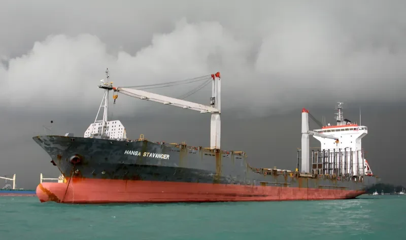 VSM Container Ship IMO 9128465 photo 2