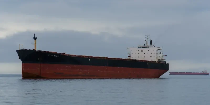 EVER MIGHTY Bulk Carrier IMO 9128489 photo 4