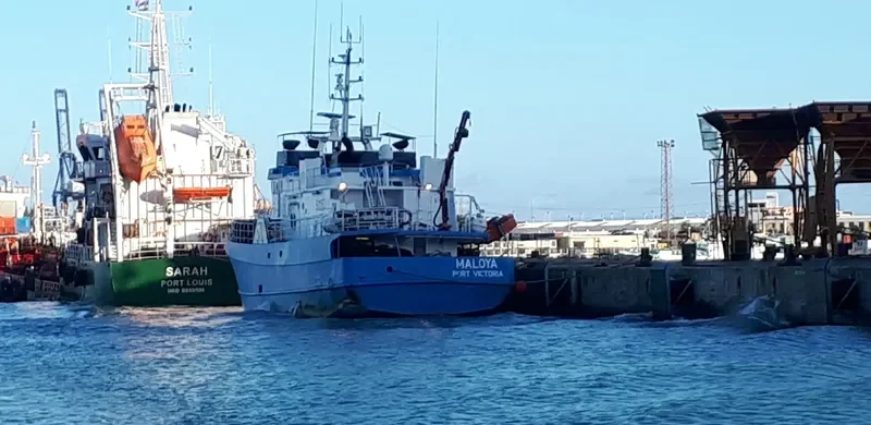 MALOYA General Cargo IMO 9128518 photo 2
