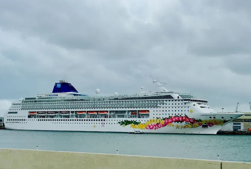 NORWEGIAN SKY Passenger Ship IMO 9128532 photo 3