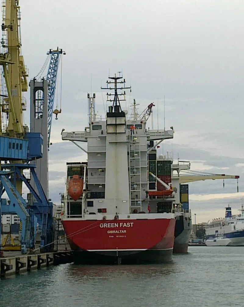 JAOHAR LIVIA Container Ship IMO 9128544 photo 4