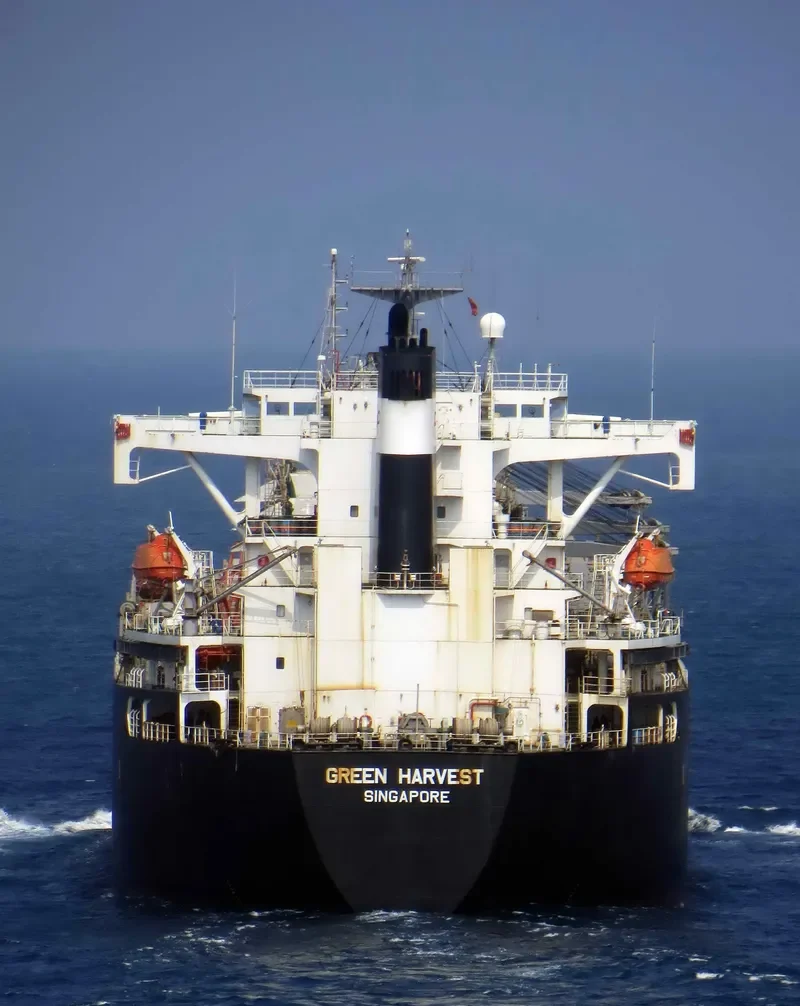 GREEN HARVEST Bulk Carrier IMO 9128570 photo 3