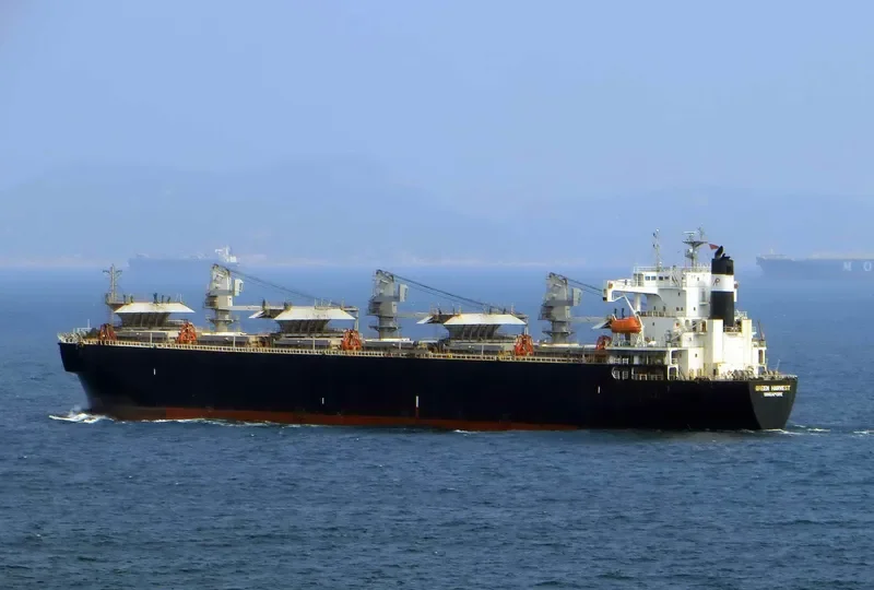 GREEN HARVEST Bulk Carrier IMO 9128570 photo 4
