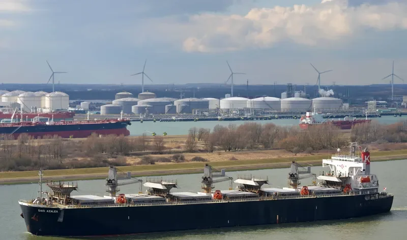 GREEN HARVEST Bulk Carrier IMO 9128570 photo 6