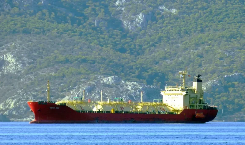 SENNA 8 General Cargo IMO 9128673 photo 7