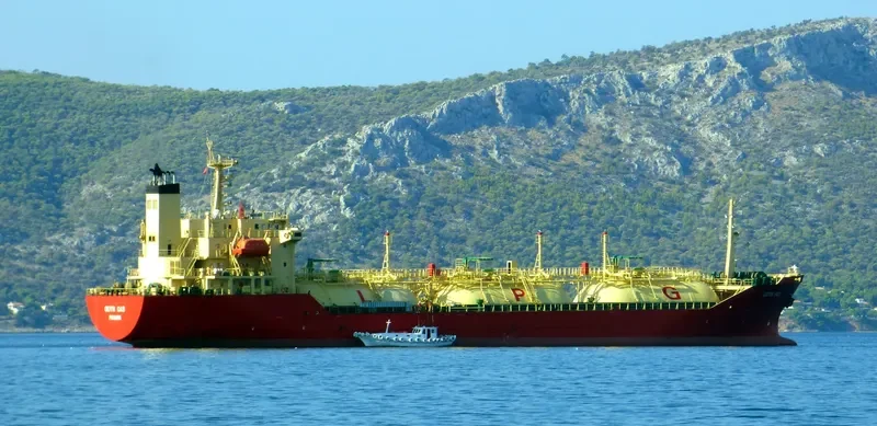 SENNA 8 General Cargo IMO 9128673 photo 9
