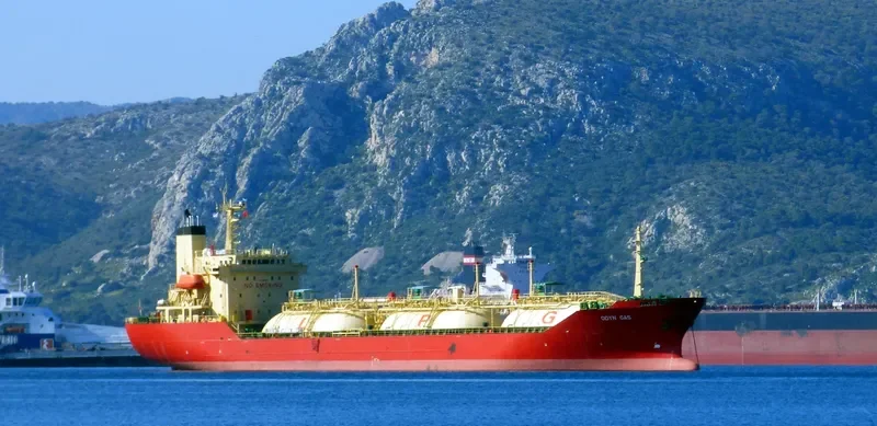 SENNA 8 General Cargo IMO 9128673 photo 10