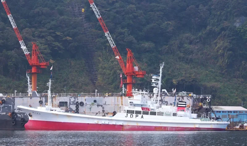 ASAHI MARU NO.8 General Cargo IMO 9128697 photo 5