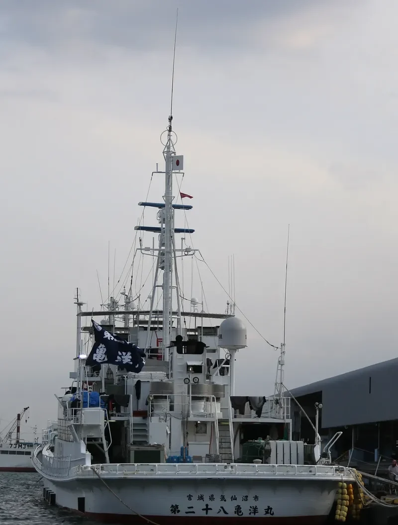 ASAHI MARU NO.8 General Cargo IMO 9128697 photo 10