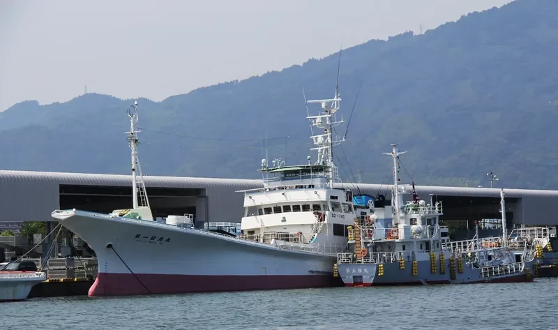 NIKKO MARU NO.1 General Cargo IMO 9128702 photo 2