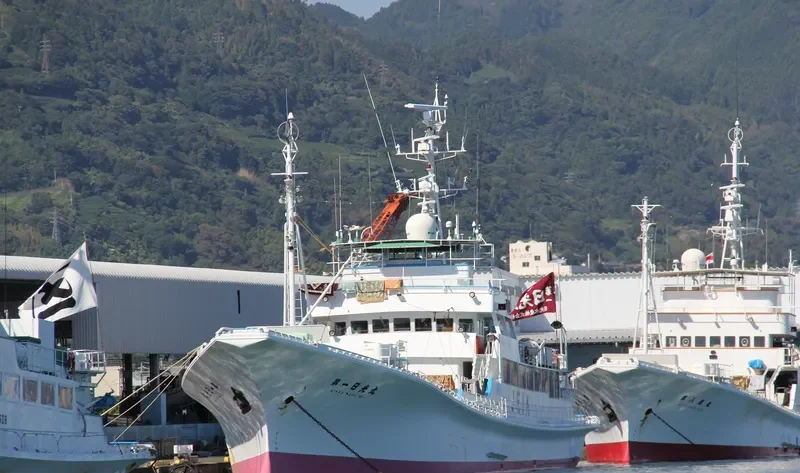 NIKKO MARU NO.1 General Cargo IMO 9128702 photo 4