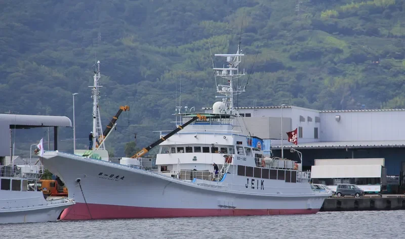 NIKKO MARU NO.1 General Cargo IMO 9128702 photo 5