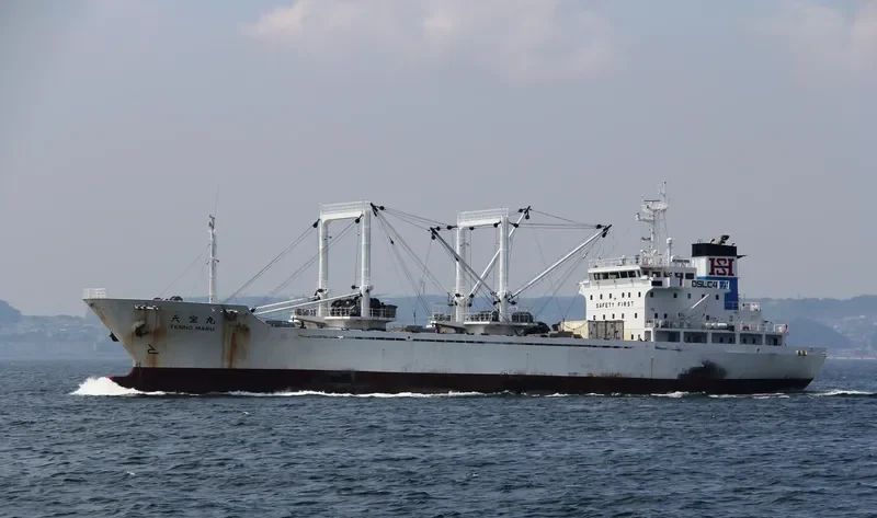 TENHO MARU General Cargo IMO 9128764 photo 7