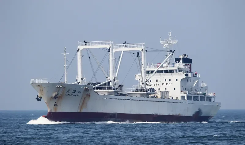 TENHO MARU General Cargo IMO 9128764 photo 10