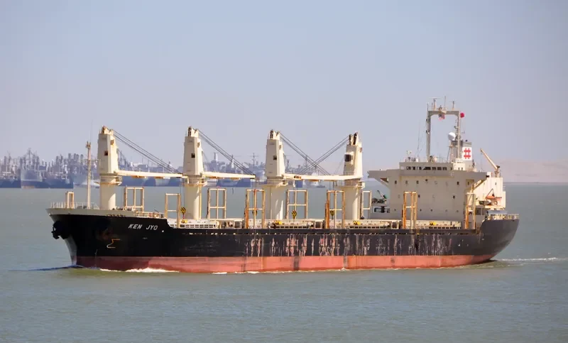 GUO RUI Bulk Carrier IMO 9128790