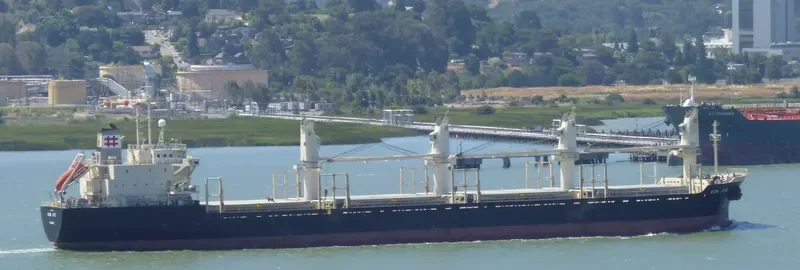 GUO RUI Bulk Carrier IMO 9128790 photo 2