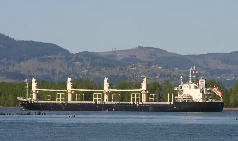 GUO RUI Bulk Carrier IMO 9128790 photo 3