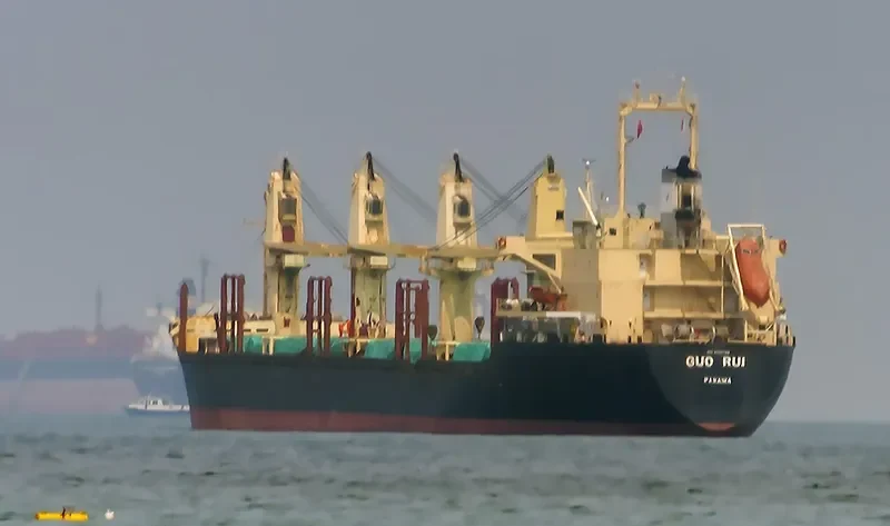 GUO RUI Bulk Carrier IMO 9128790 photo 4