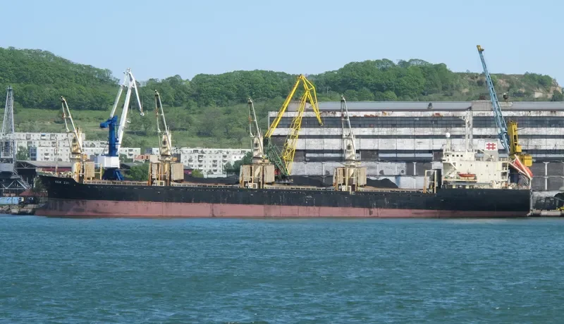 CAHAYA MUSTIKA LAUT 1 Bulk Carrier IMO 9128805 photo 5