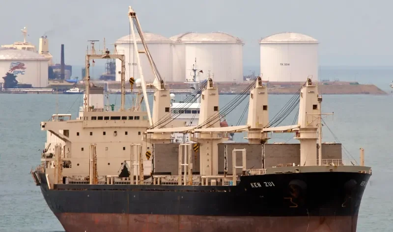 CAHAYA MUSTIKA LAUT 1 Bulk Carrier IMO 9128805 photo 6