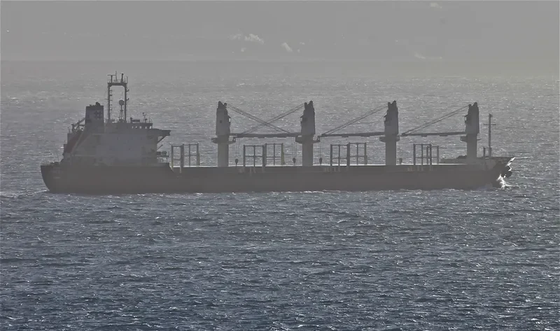 CAHAYA MUSTIKA LAUT 1 Bulk Carrier IMO 9128805 photo 8