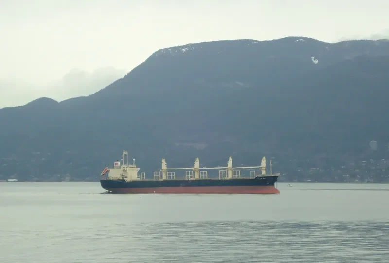 CAHAYA MUSTIKA LAUT 1 Bulk Carrier IMO 9128805 photo 9