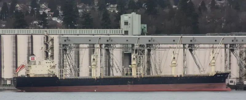 CAHAYA MUSTIKA LAUT 1 Bulk Carrier IMO 9128805 photo 10