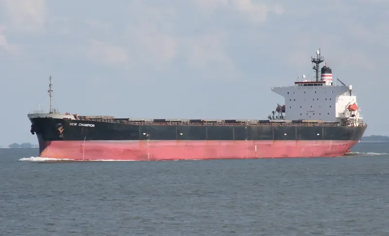 APJ MAHAKALI Bulk Carrier IMO 9128817